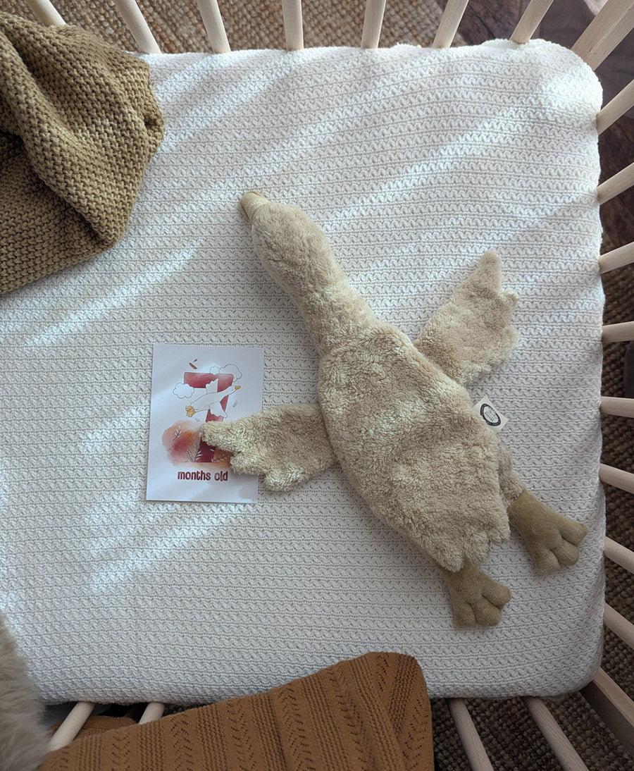 Gans (klein) Kuscheltier &amp; Wärmekissen - Beige