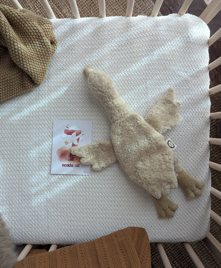 Gans (klein) Kuscheltier &amp; Wärmekissen - Beige