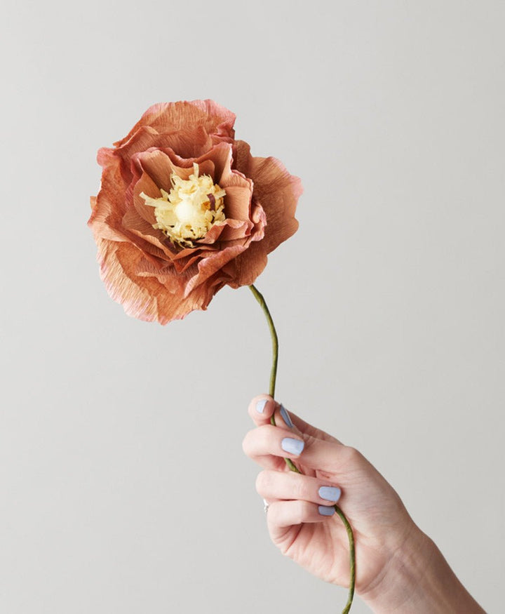 Papierblume Islandmohn Ice Poppy Dark Ochre - Studio About - clomes