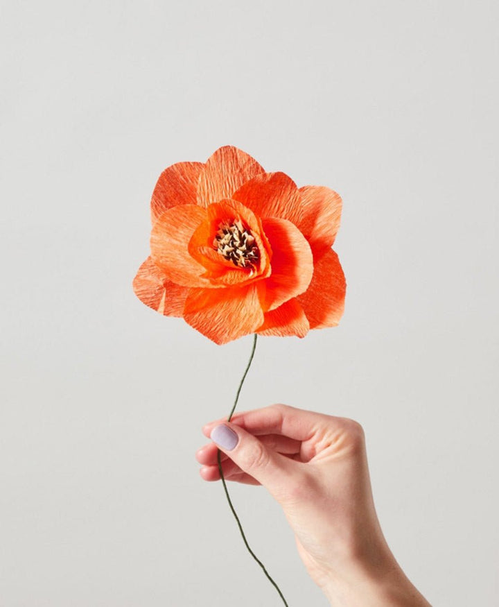 Papierblume Mohn / Poppy Rot - Studio About - clomes