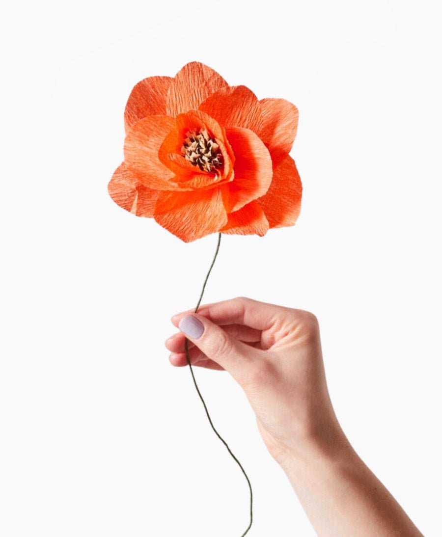 Papierblume Mohn / Poppy Rot - Studio About - clomes
