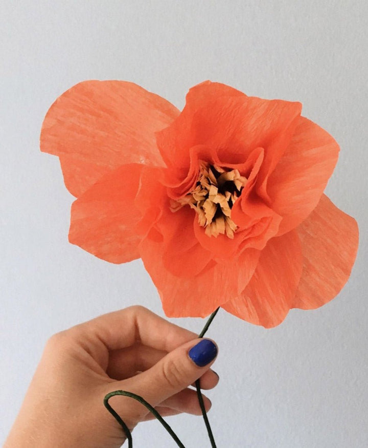 Papierblume Mohn / Poppy Rot - Studio About - clomes