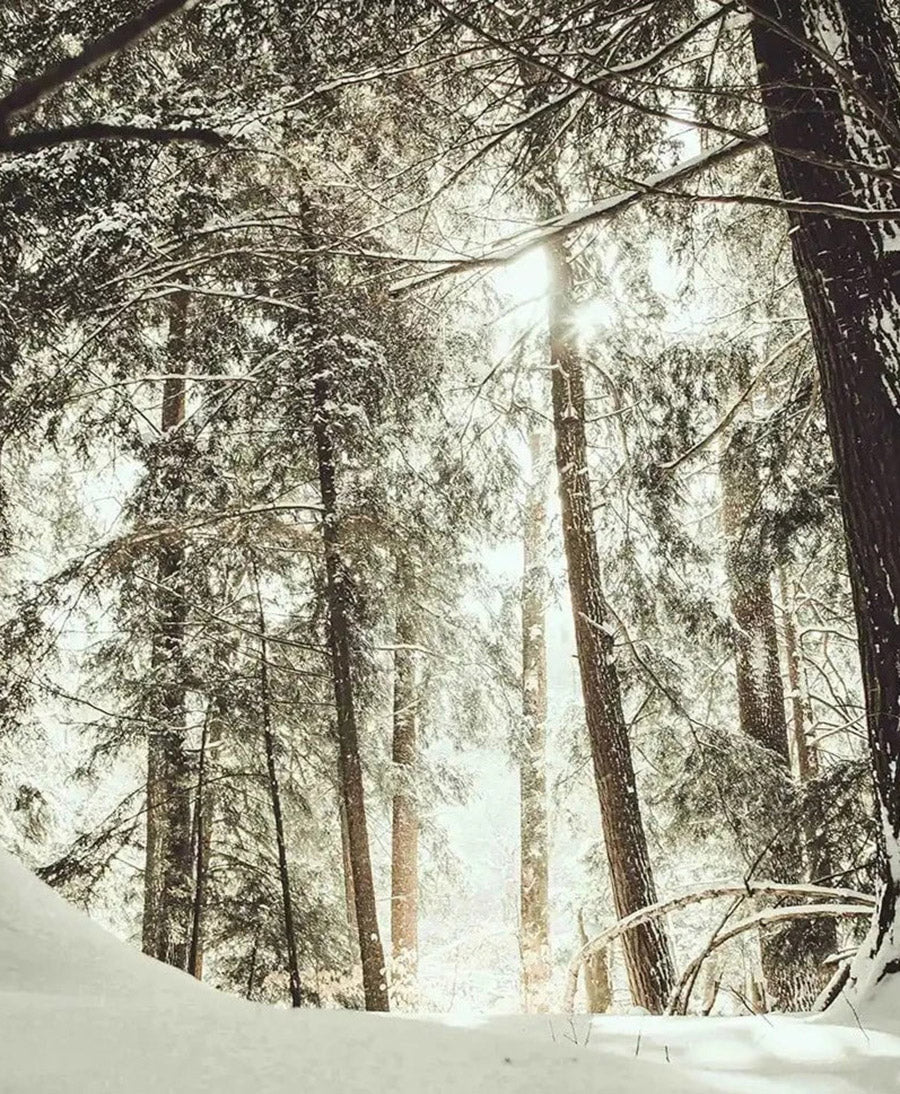 Duftkerze "Winterzeit" - 100% natürlich - 75g