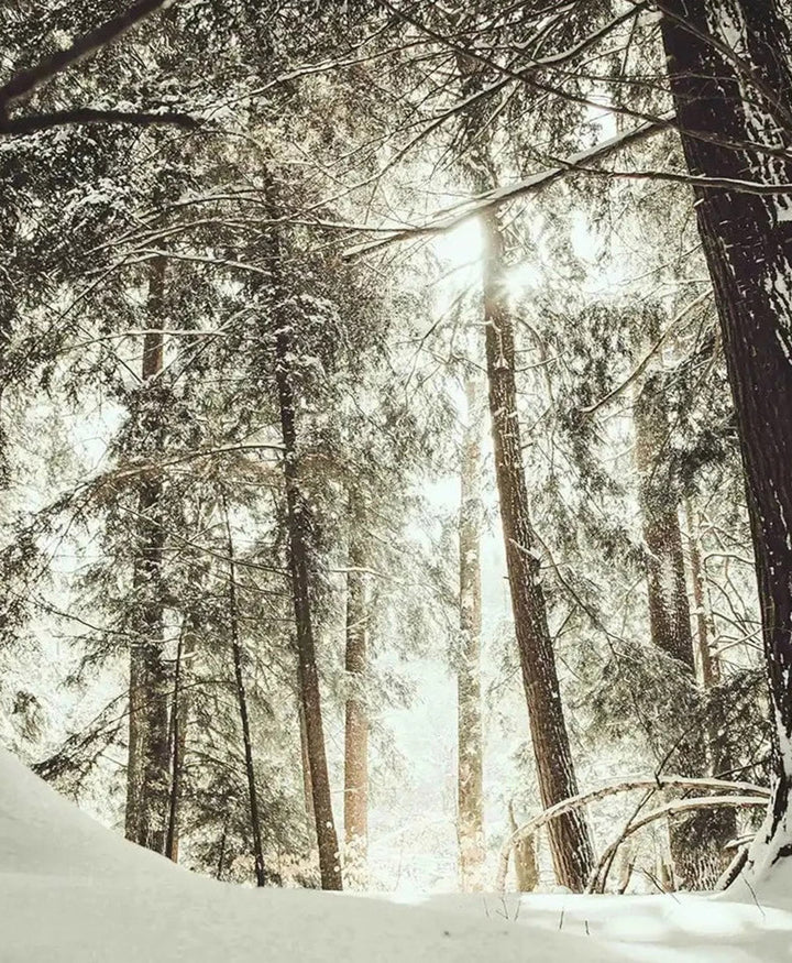 Duftkerze "Winterzeit" - 100% natürlich - 75g