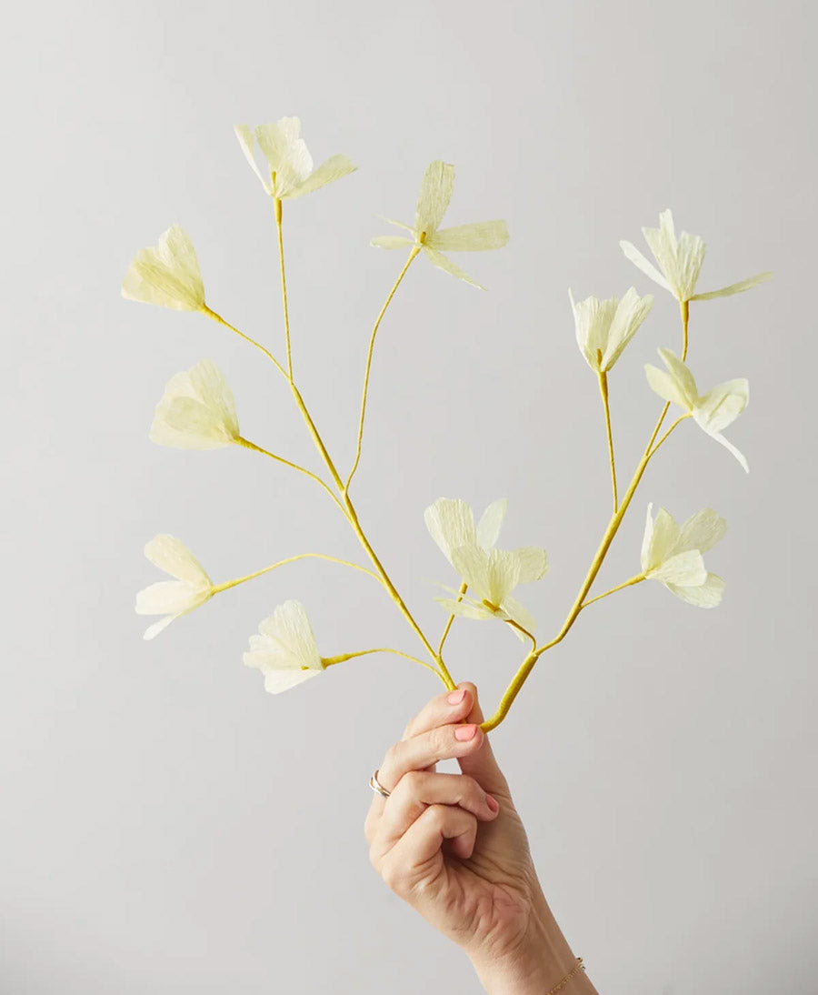 Papierblume Sauerklee Zweig Hellgelb